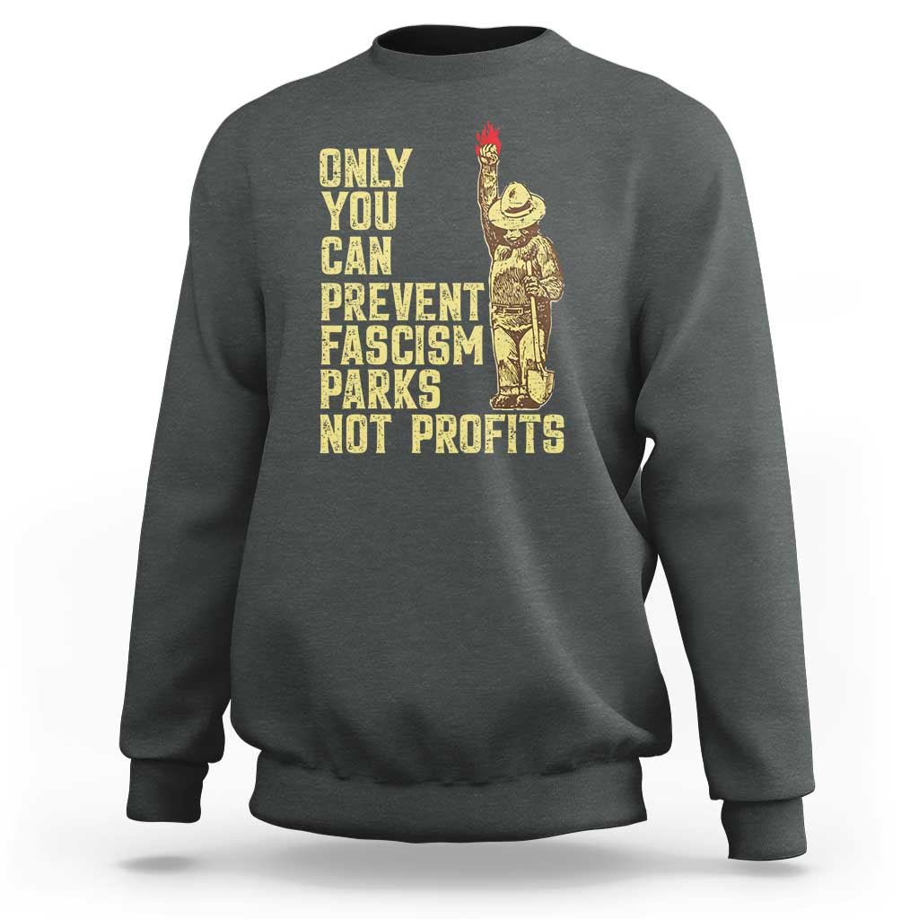 Protect Our National Parks Sweatshirt Bear Progressive Funny Gift