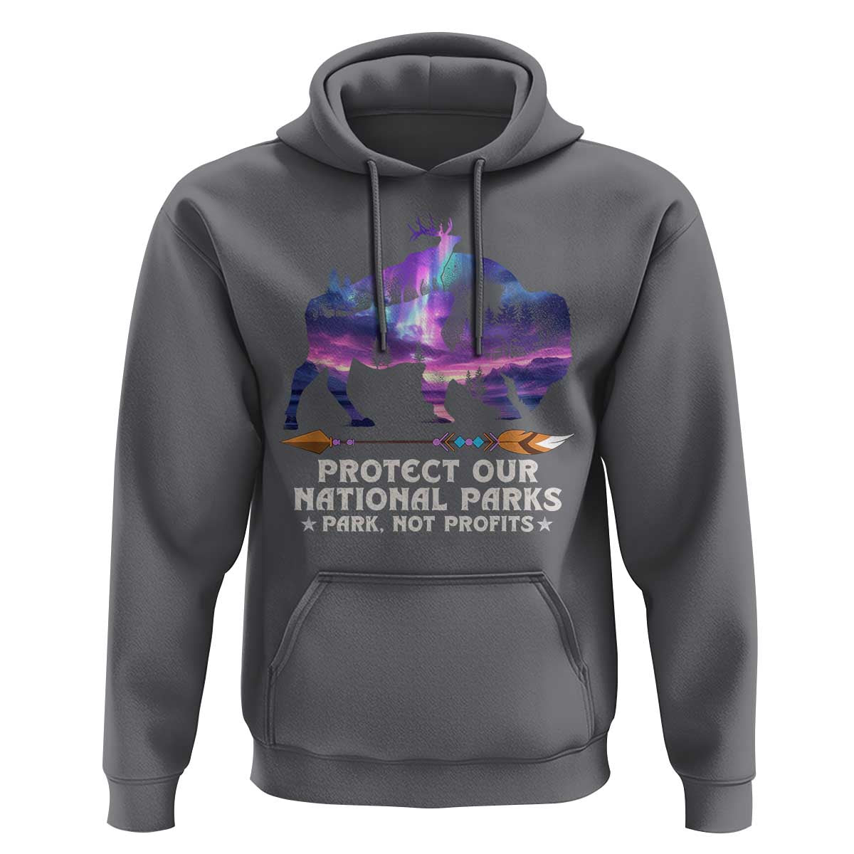 Protect Our National Parks Hoodie Bison Forest Starscape Aurora