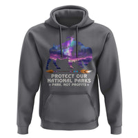 Protect Our National Parks Hoodie Bison Forest Starscape Aurora