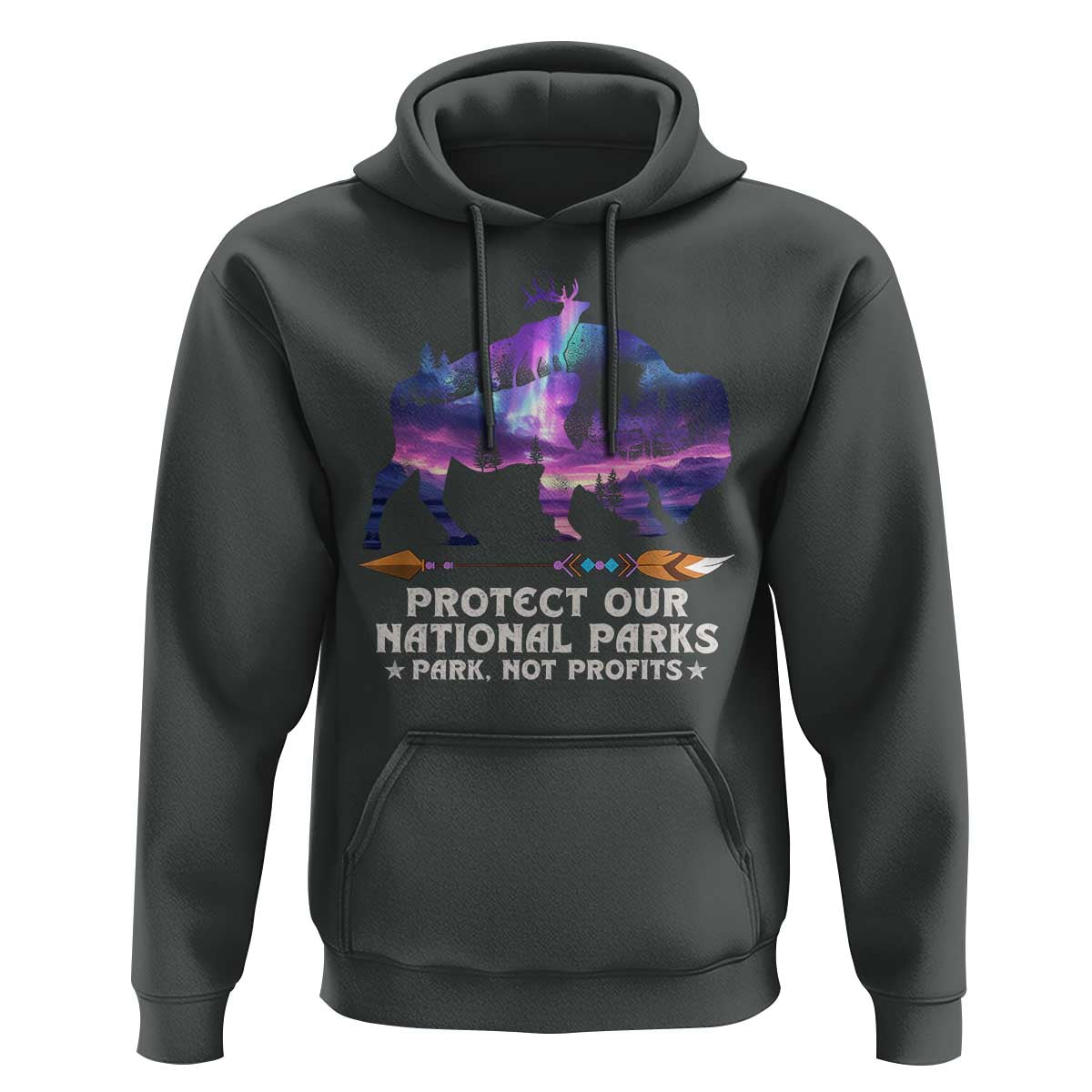 Protect Our National Parks Hoodie Bison Forest Starscape Aurora