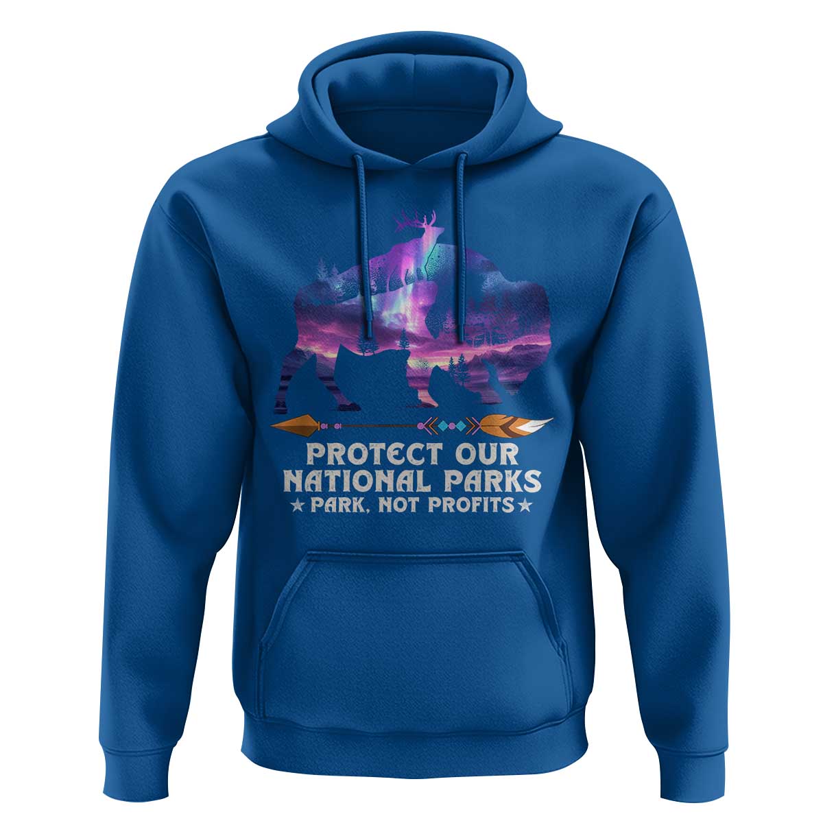 Protect Our National Parks Hoodie Bison Forest Starscape Aurora