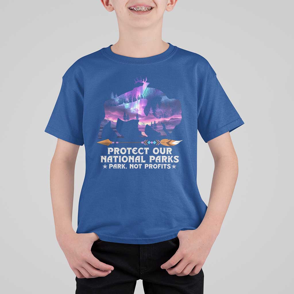 Protect Our National Parks T Shirt For Kid Bison Forest Starscape Aurora