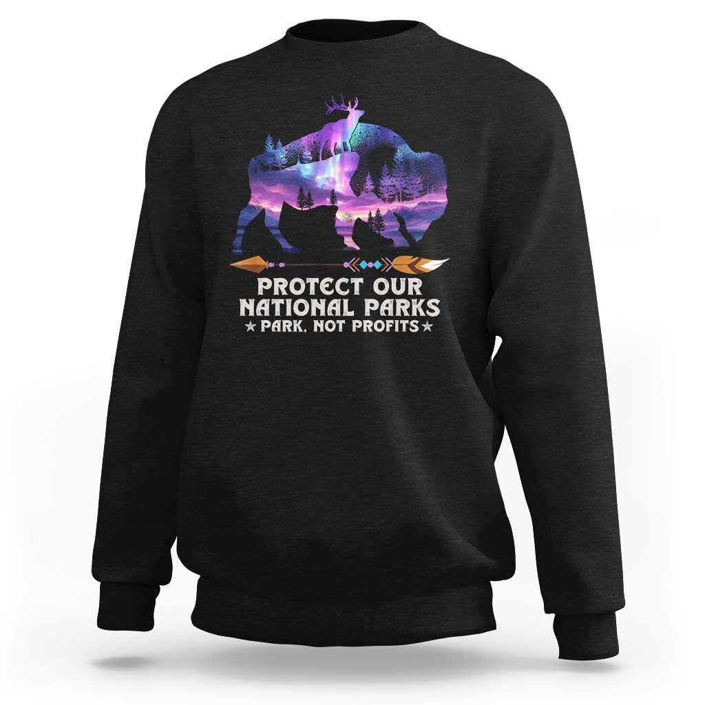 Protect Our National Parks Sweatshirt Bison Forest Starscape Aurora
