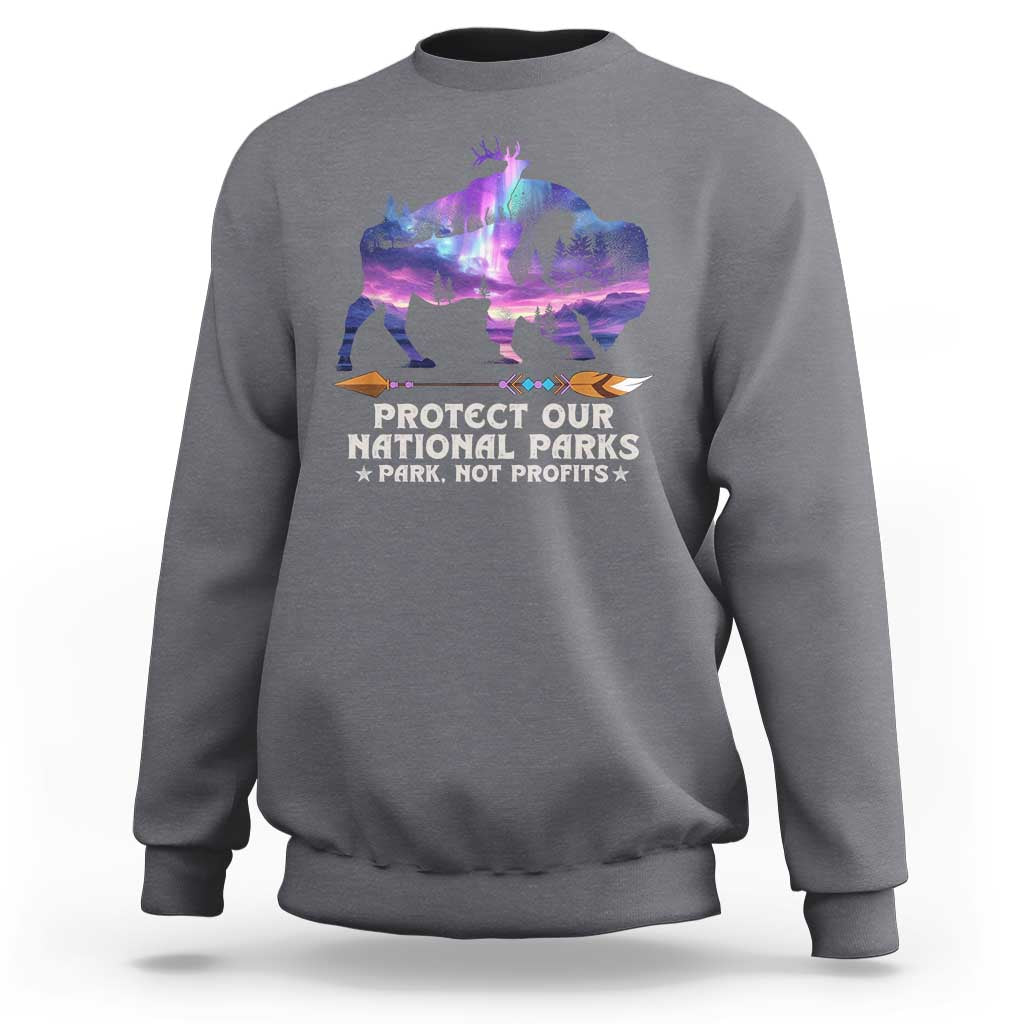 Protect Our National Parks Sweatshirt Bison Forest Starscape Aurora