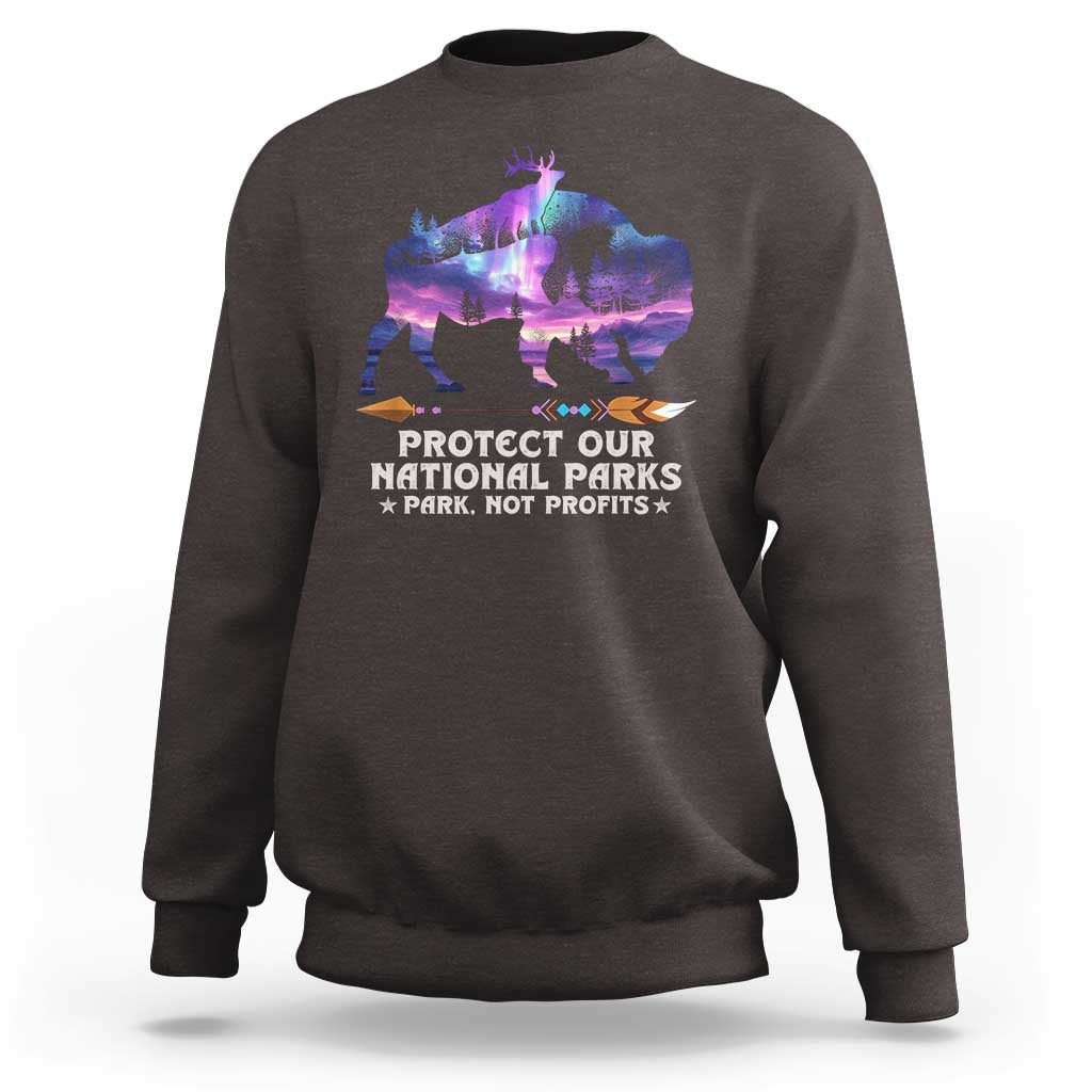 Protect Our National Parks Sweatshirt Bison Forest Starscape Aurora