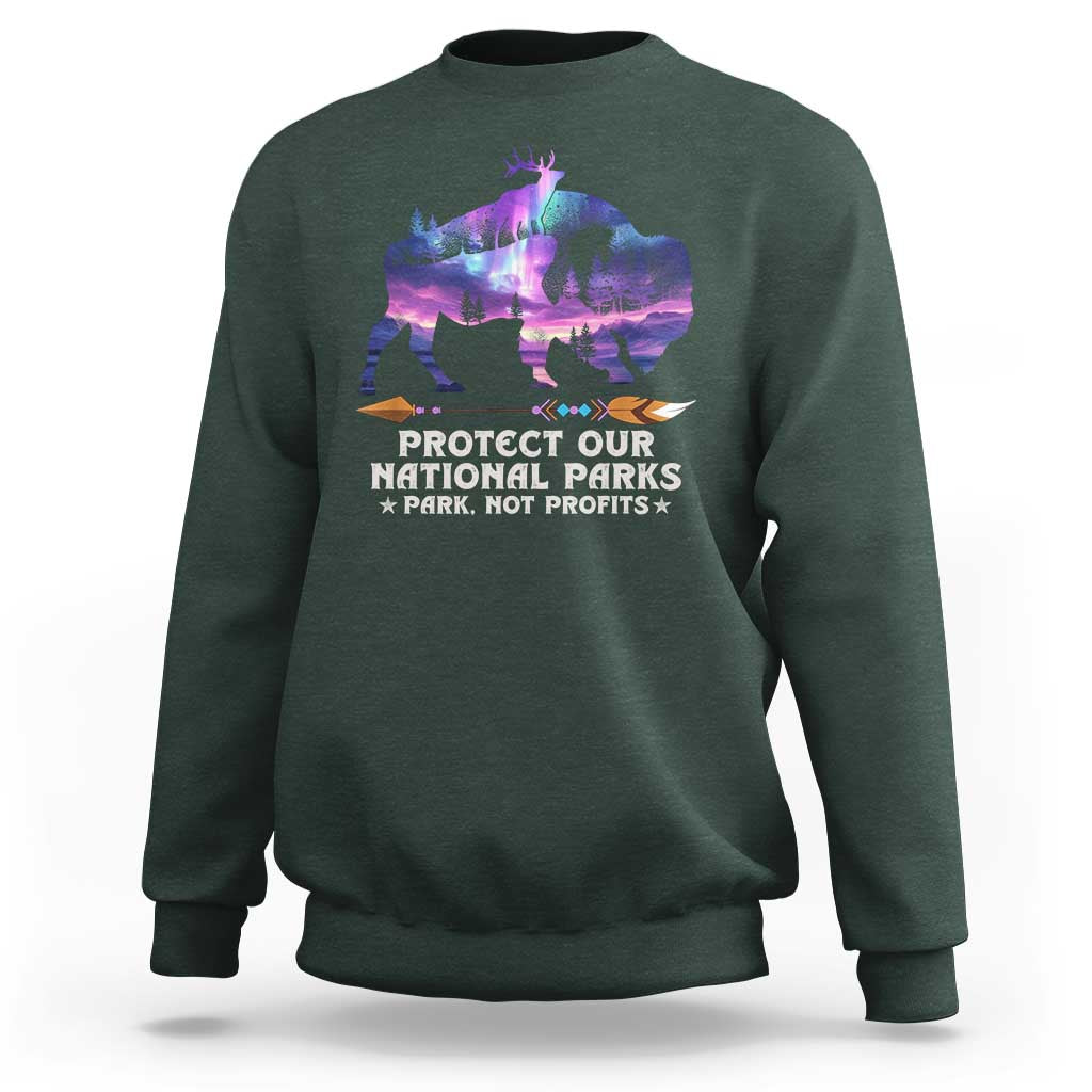 Protect Our National Parks Sweatshirt Bison Forest Starscape Aurora