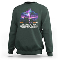 Protect Our National Parks Sweatshirt Bison Forest Starscape Aurora