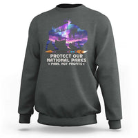 Protect Our National Parks Sweatshirt Bison Forest Starscape Aurora
