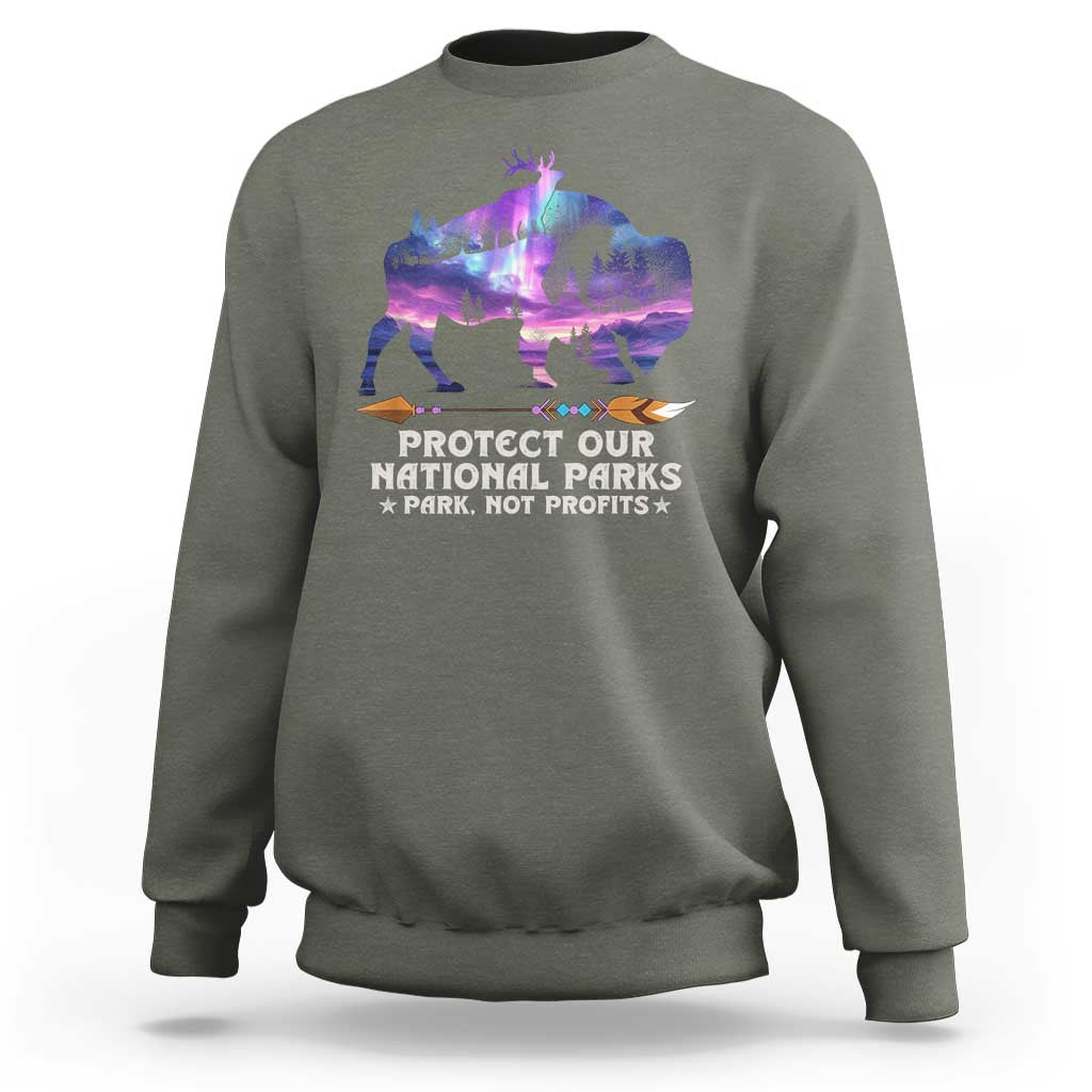 Protect Our National Parks Sweatshirt Bison Forest Starscape Aurora