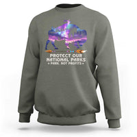 Protect Our National Parks Sweatshirt Bison Forest Starscape Aurora