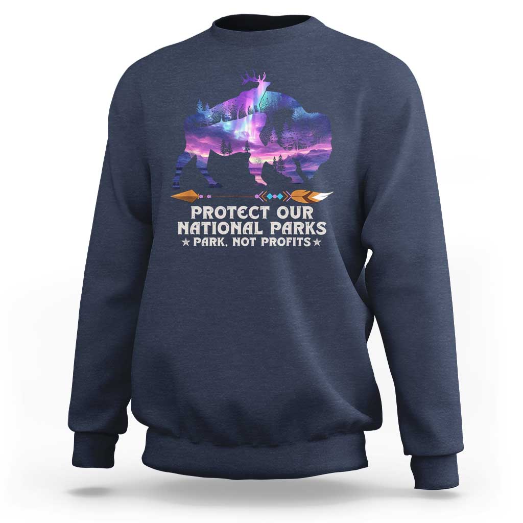 Protect Our National Parks Sweatshirt Bison Forest Starscape Aurora