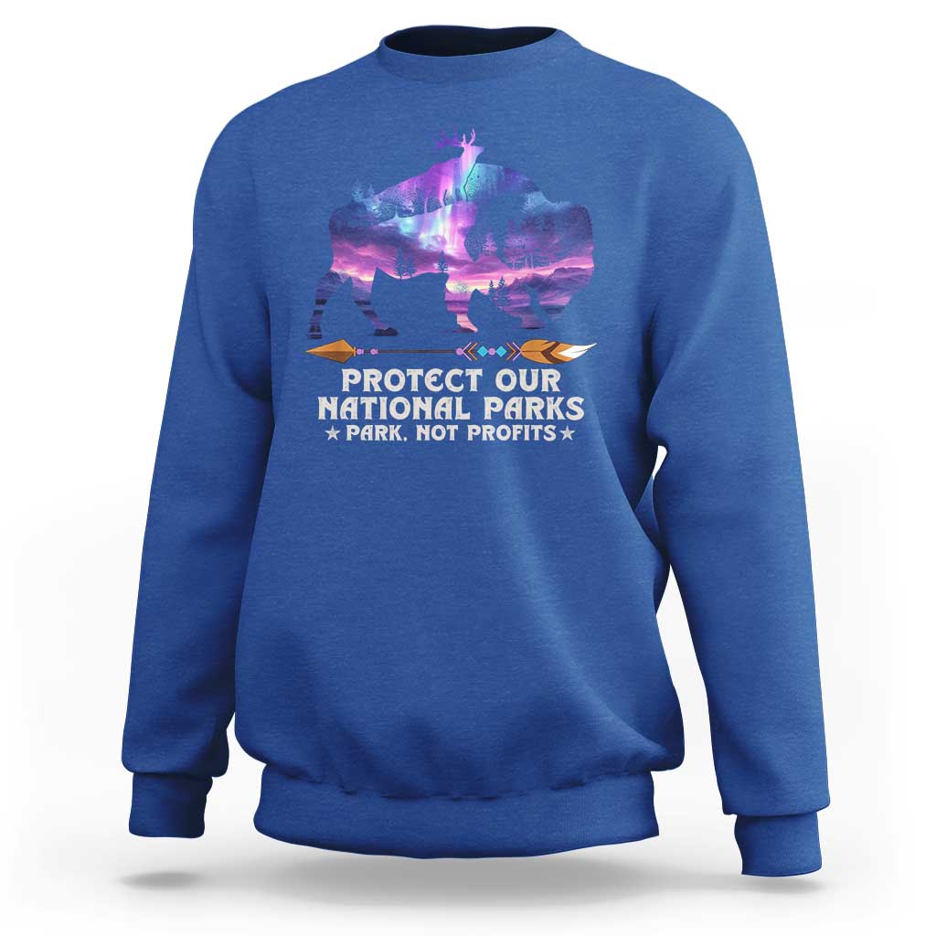 Protect Our National Parks Sweatshirt Bison Forest Starscape Aurora