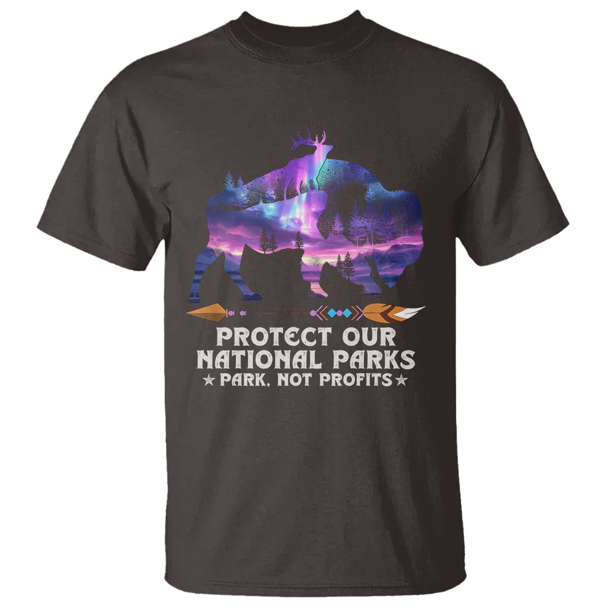 Protect Our National Parks T Shirt Bison Forest Starscape Aurora