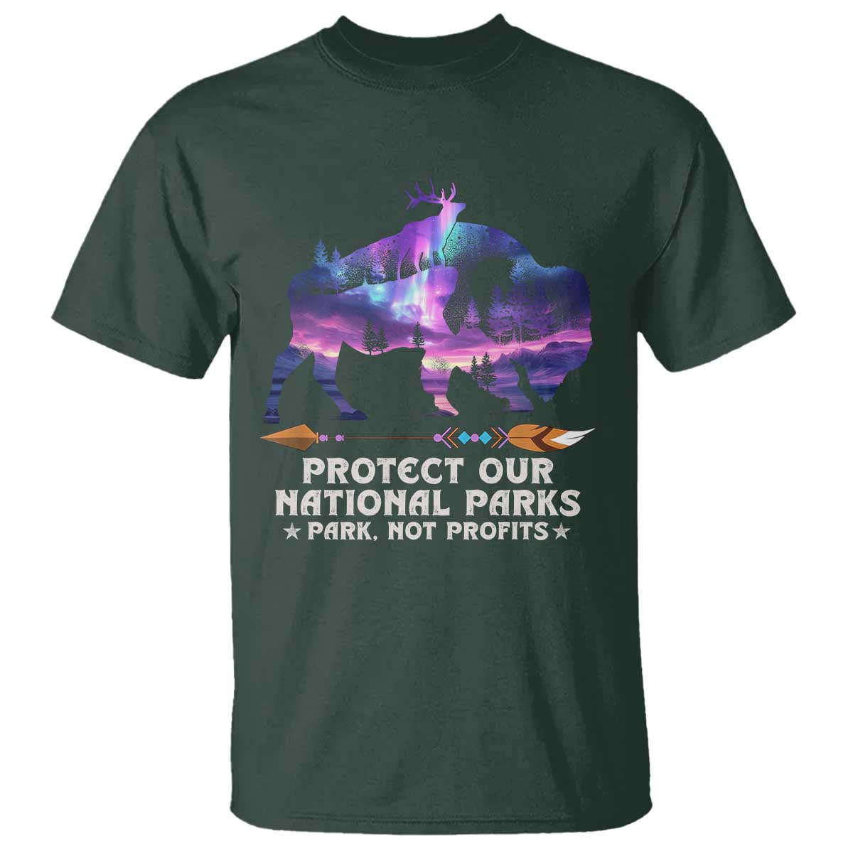 Protect Our National Parks T Shirt Bison Forest Starscape Aurora