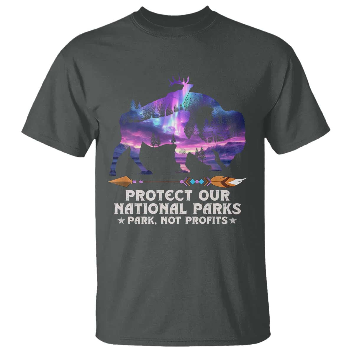 Protect Our National Parks T Shirt Bison Forest Starscape Aurora
