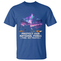Protect Our National Parks T Shirt Bison Forest Starscape Aurora