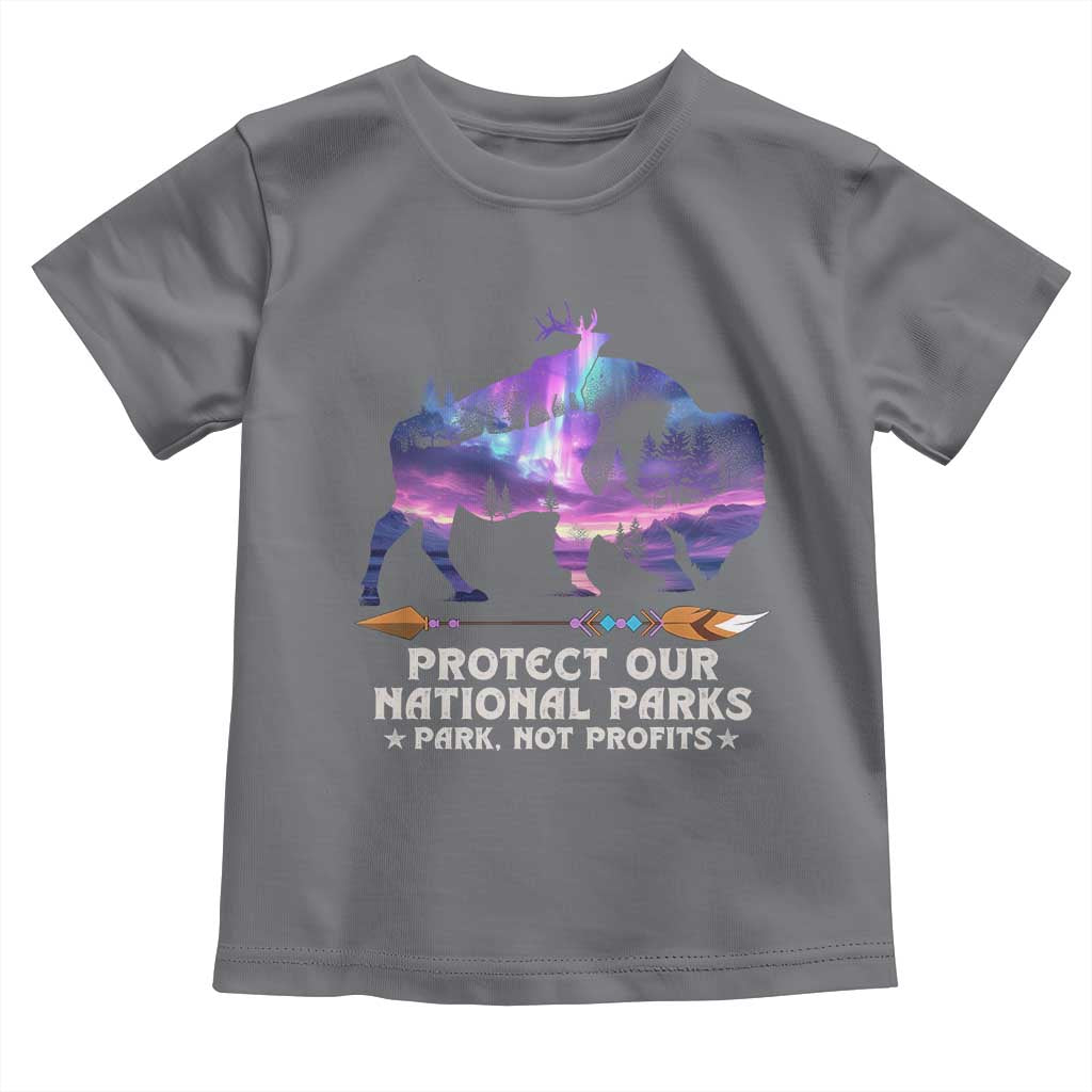 Protect Our National Parks Toddler T Shirt Bison Forest Starscape Aurora