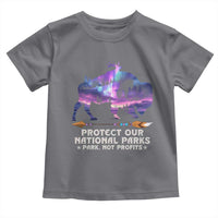 Protect Our National Parks Toddler T Shirt Bison Forest Starscape Aurora