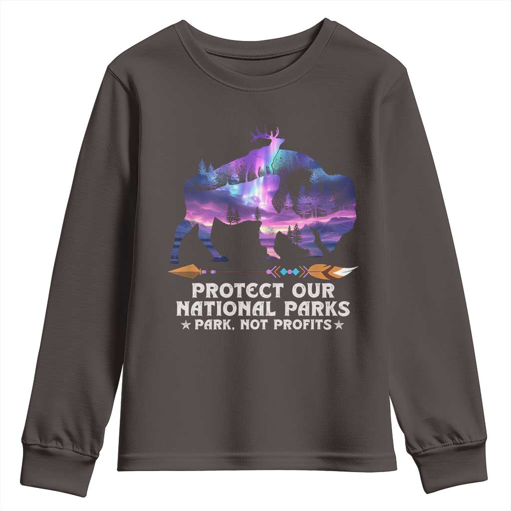 Protect Our National Parks Youth Sweatshirt Bison Forest Starscape Aurora