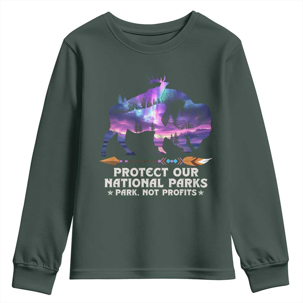 Protect Our National Parks Youth Sweatshirt Bison Forest Starscape Aurora