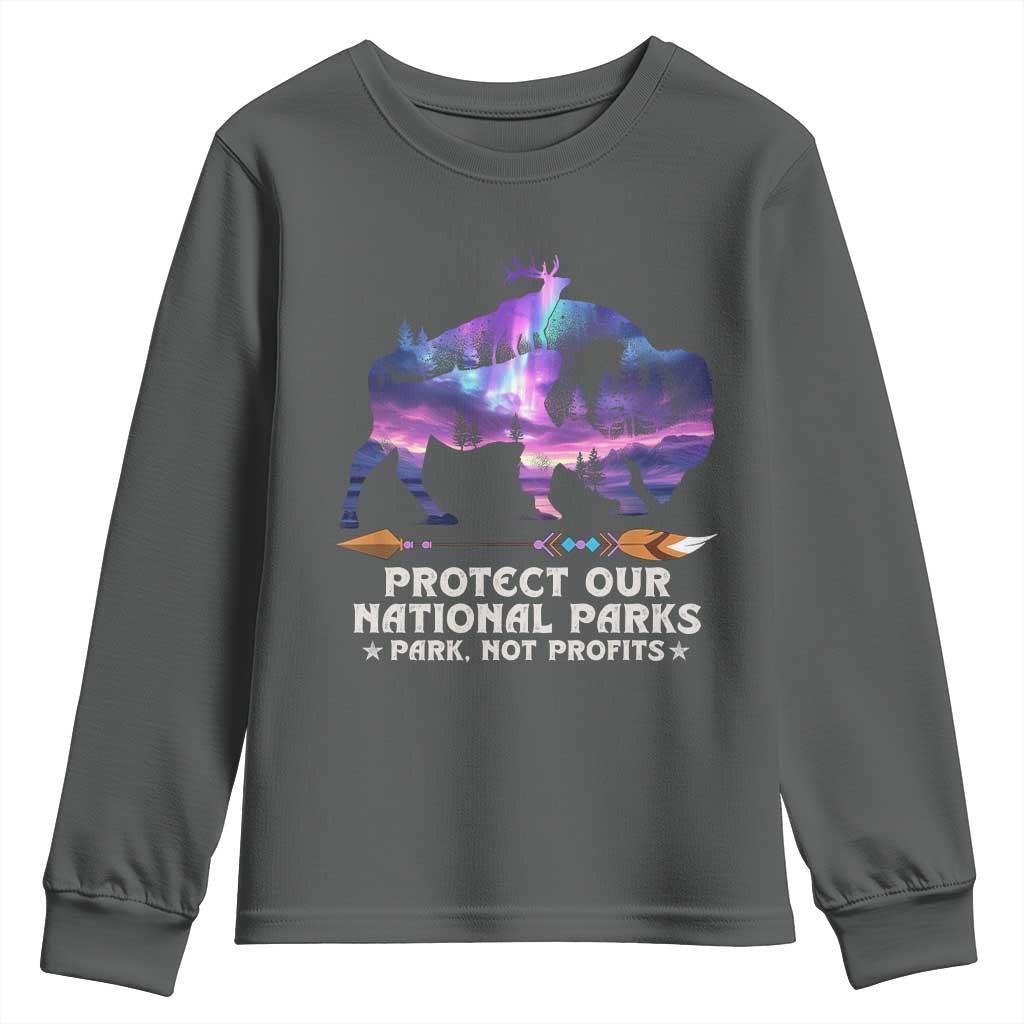 Protect Our National Parks Youth Sweatshirt Bison Forest Starscape Aurora
