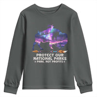 Protect Our National Parks Youth Sweatshirt Bison Forest Starscape Aurora