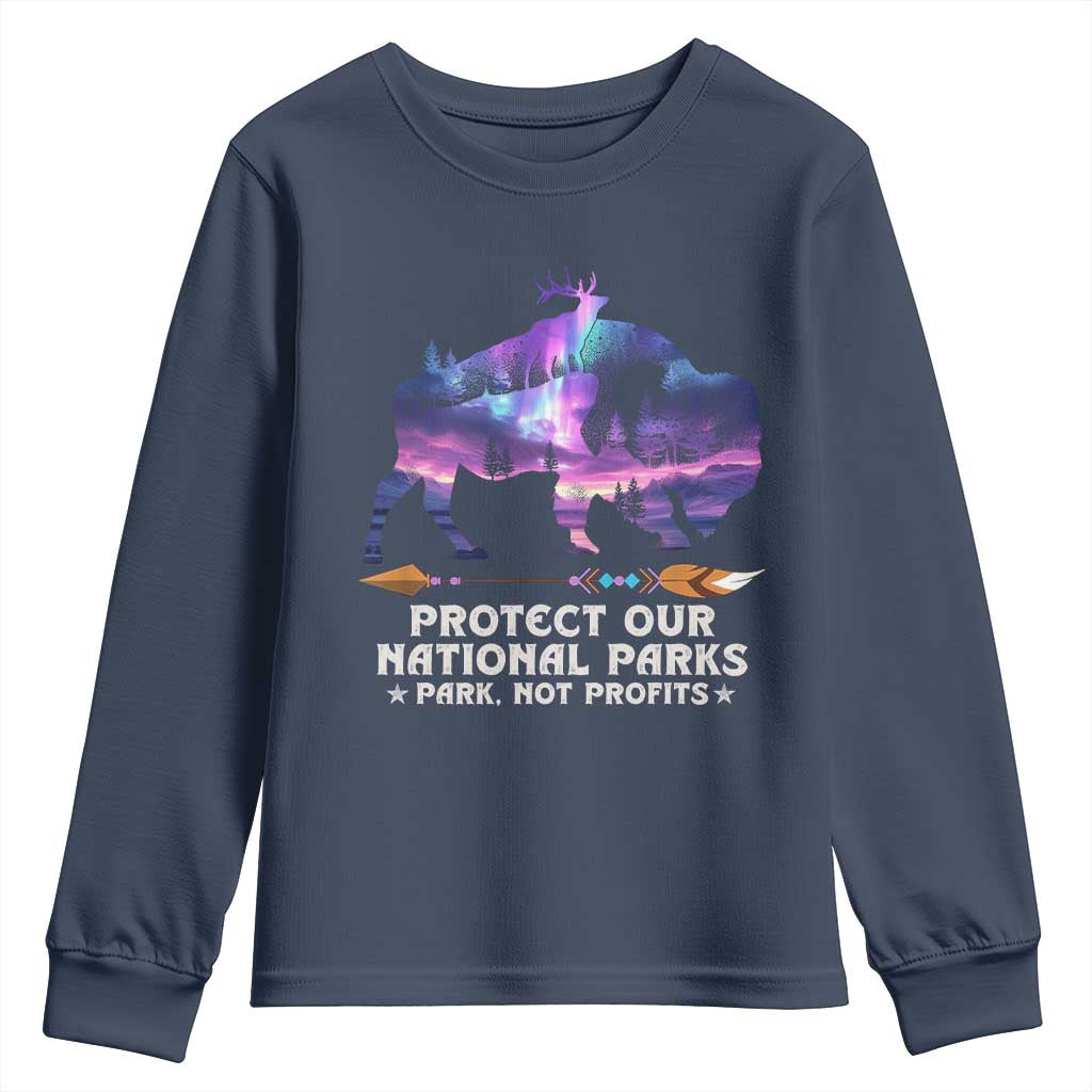 Protect Our National Parks Youth Sweatshirt Bison Forest Starscape Aurora