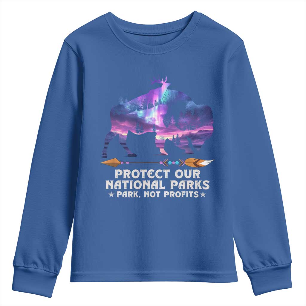 Protect Our National Parks Youth Sweatshirt Bison Forest Starscape Aurora