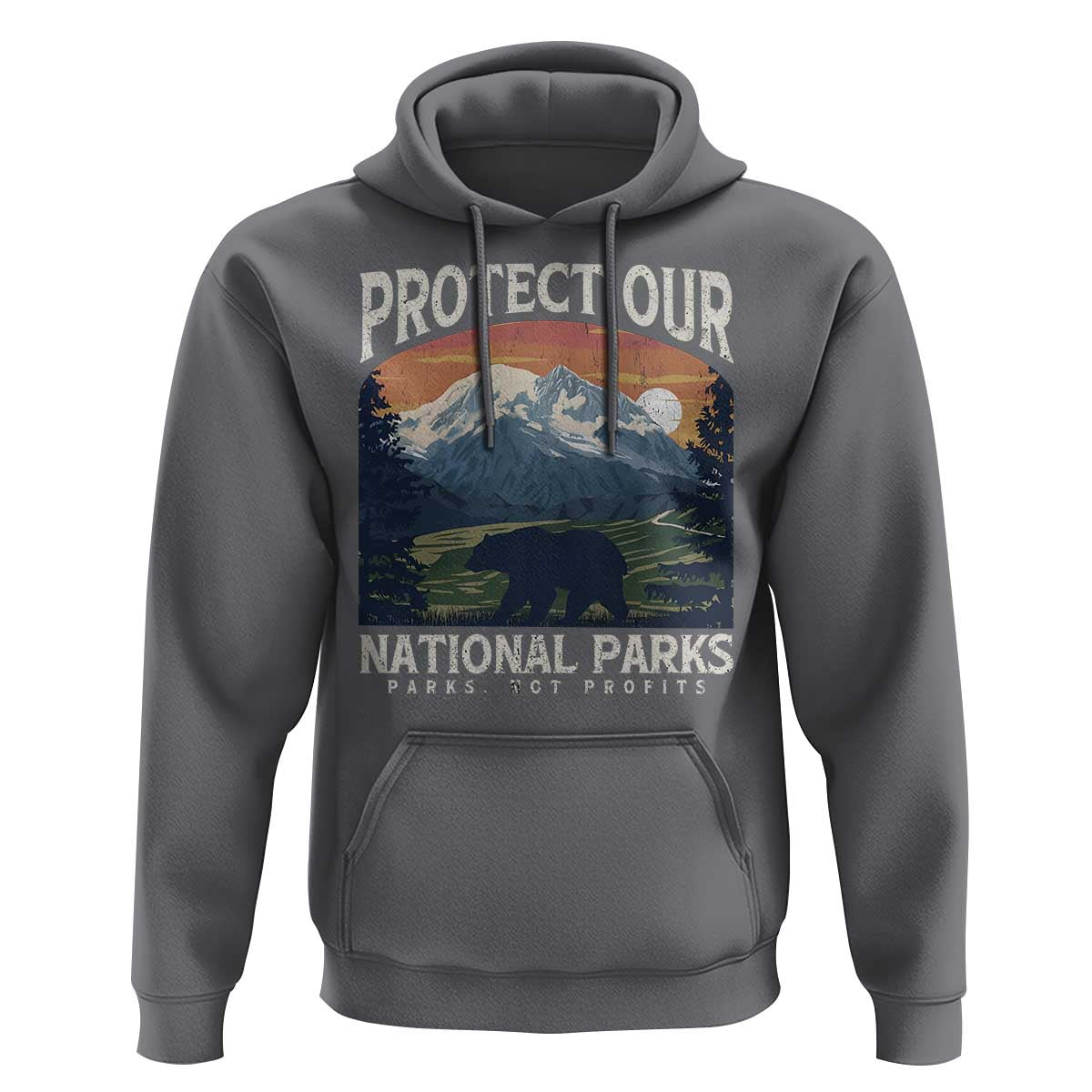 Protect Our National Parks Hoodie Vintage NPS Bear Mountains