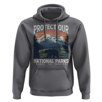 Protect Our National Parks Hoodie Vintage NPS Bear Mountains