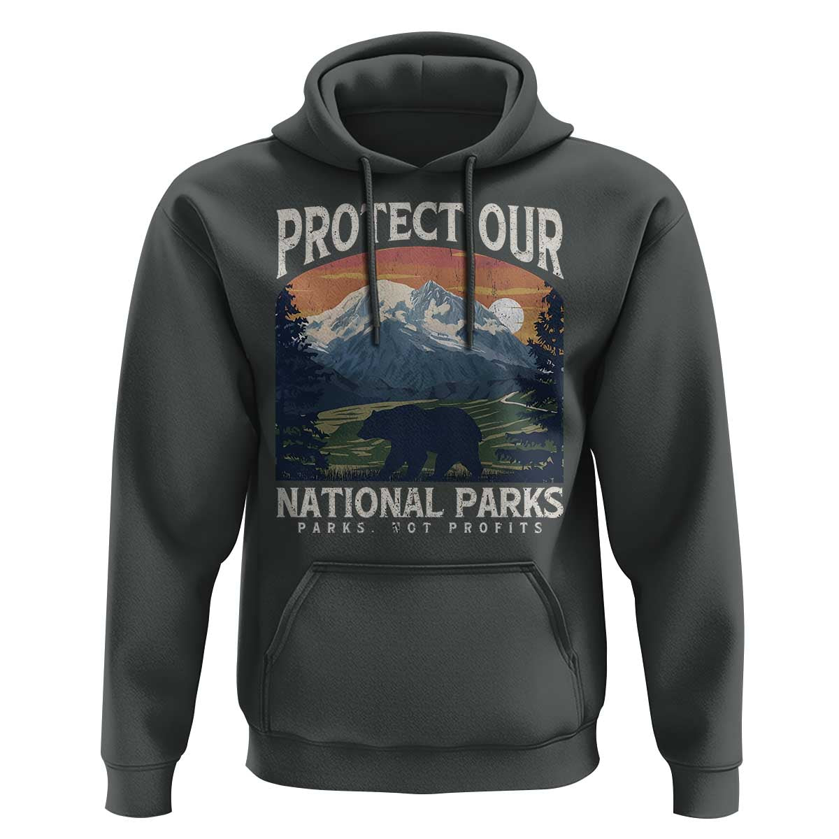 Protect Our National Parks Hoodie Vintage NPS Bear Mountains