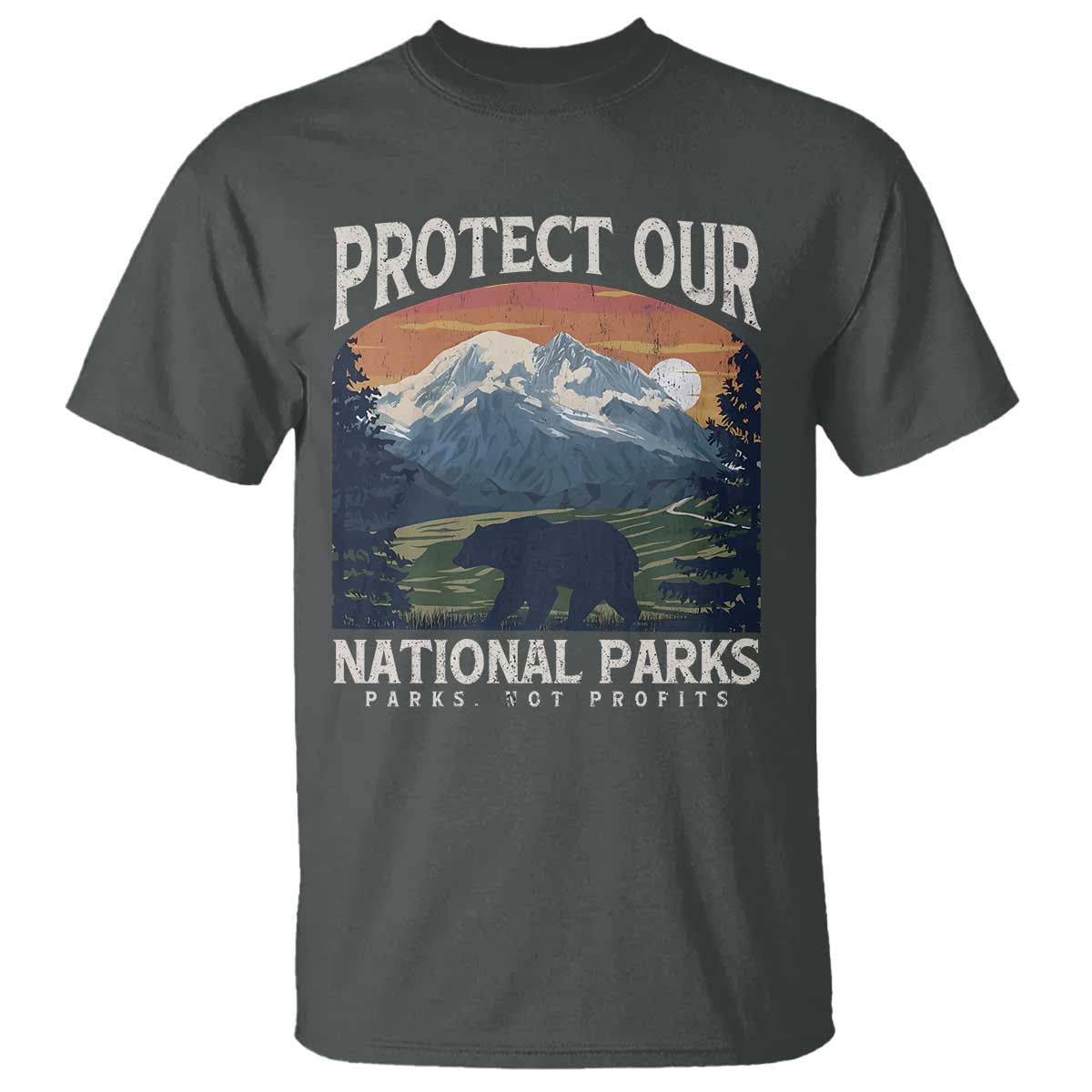 Protect Our National Parks T Shirt Vintage NPS Bear Mountains