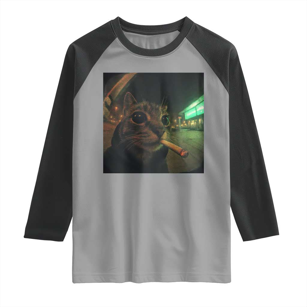 Funny Smoking Cat Raglan Shirt Retro 90s Grunge Cat Selfie Streetwear Meme - Wonder Print Shop