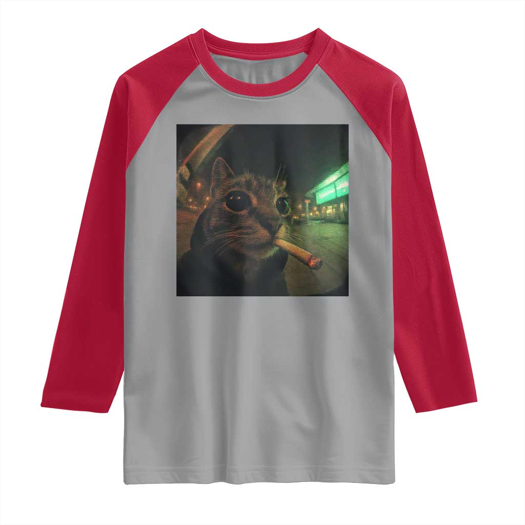 Funny Smoking Cat Raglan Shirt Retro 90s Grunge Cat Selfie Streetwear Meme - Wonder Print Shop
