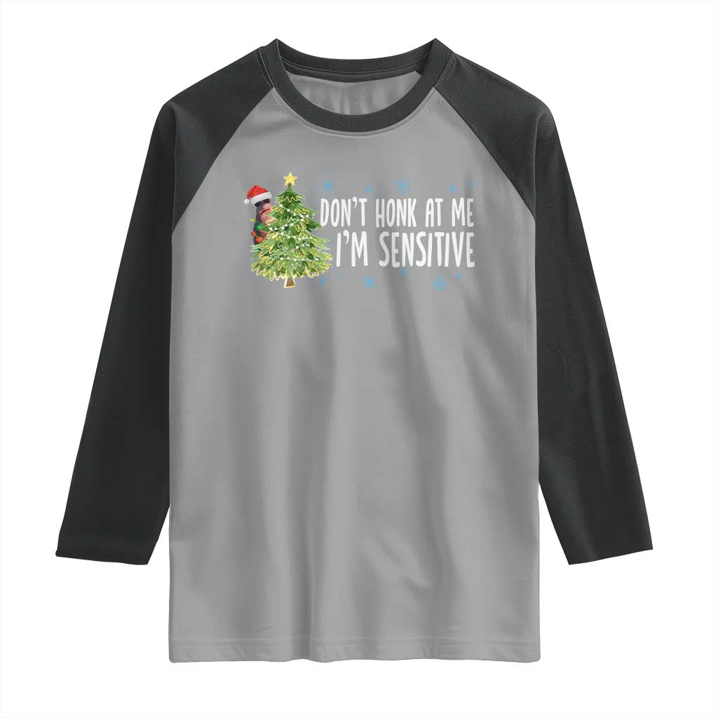 Christmas Marcus The Worm Raglan Shirt Dont Honk At Me Im Sensitive Funny Brainrot Meme - Wonder Print Shop
