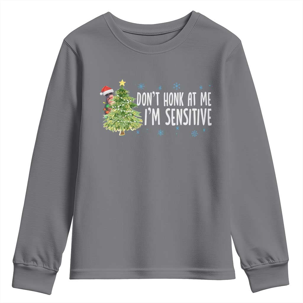 Christmas Marcus The Worm Youth Sweatshirt Dont Honk At Me Im Sensitive Funny Brainrot Meme - Wonder Print Shop