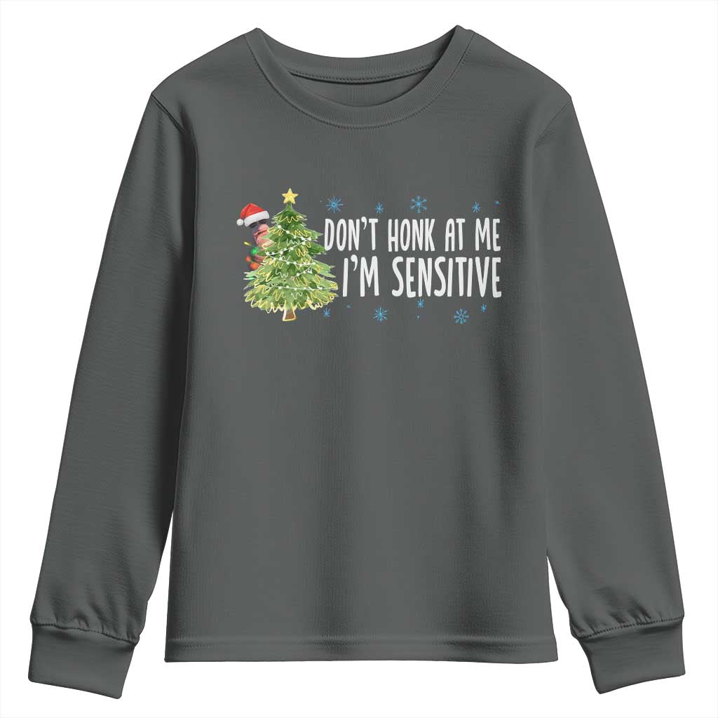 Christmas Marcus The Worm Youth Sweatshirt Dont Honk At Me Im Sensitive Funny Brainrot Meme - Wonder Print Shop