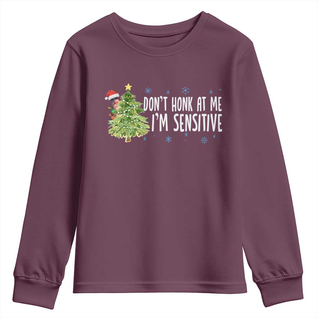 Christmas Marcus The Worm Youth Sweatshirt Dont Honk At Me Im Sensitive Funny Brainrot Meme - Wonder Print Shop