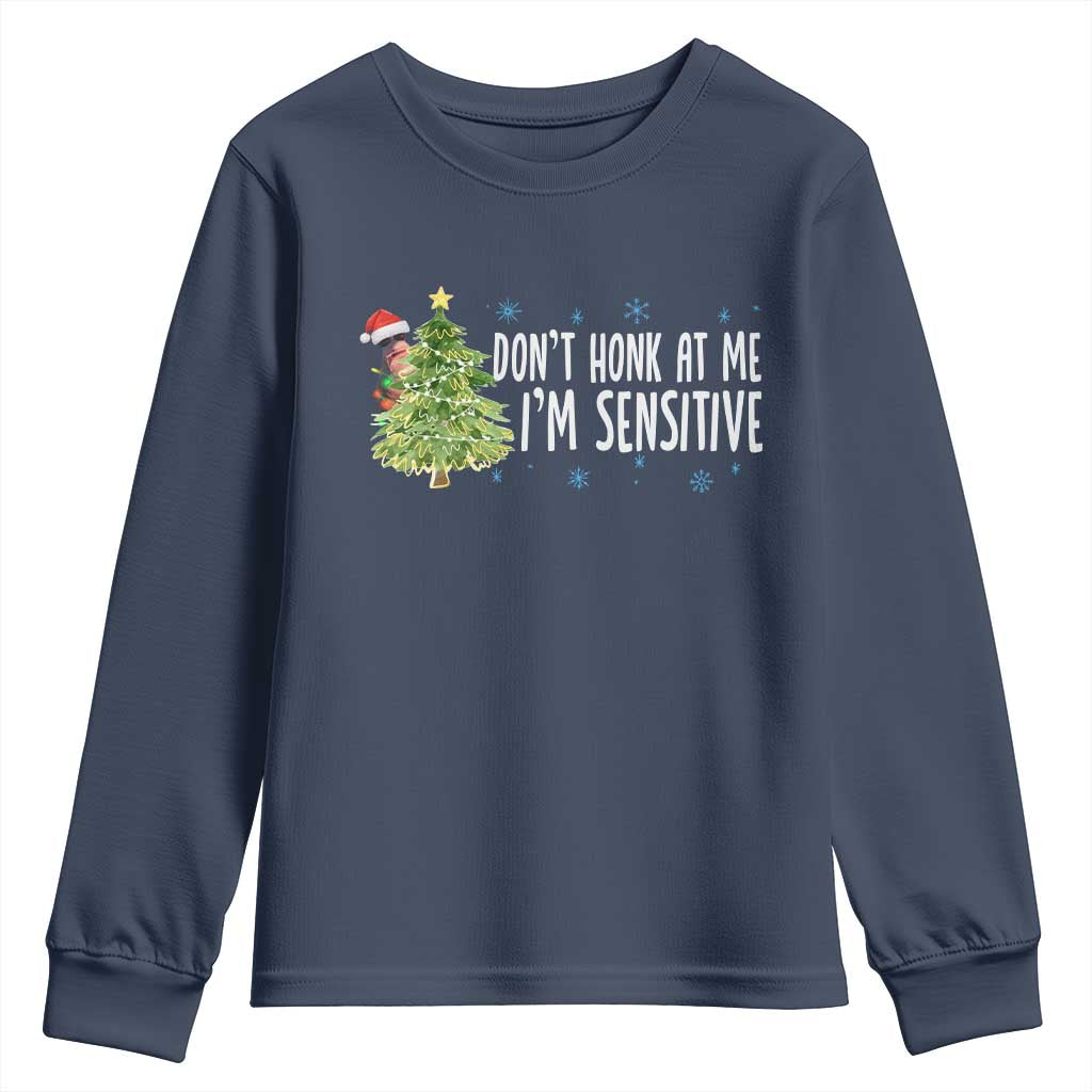 Christmas Marcus The Worm Youth Sweatshirt Dont Honk At Me Im Sensitive Funny Brainrot Meme - Wonder Print Shop