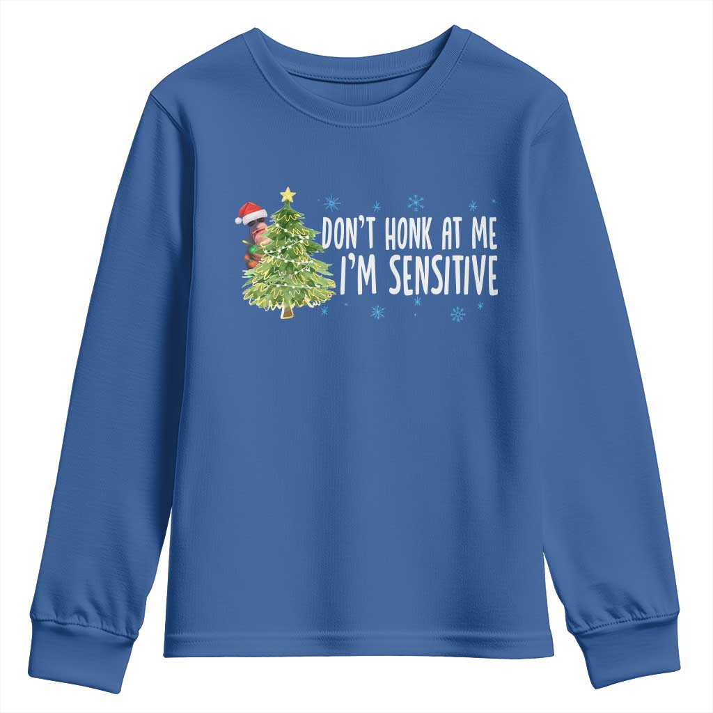 Christmas Marcus The Worm Youth Sweatshirt Dont Honk At Me Im Sensitive Funny Brainrot Meme - Wonder Print Shop