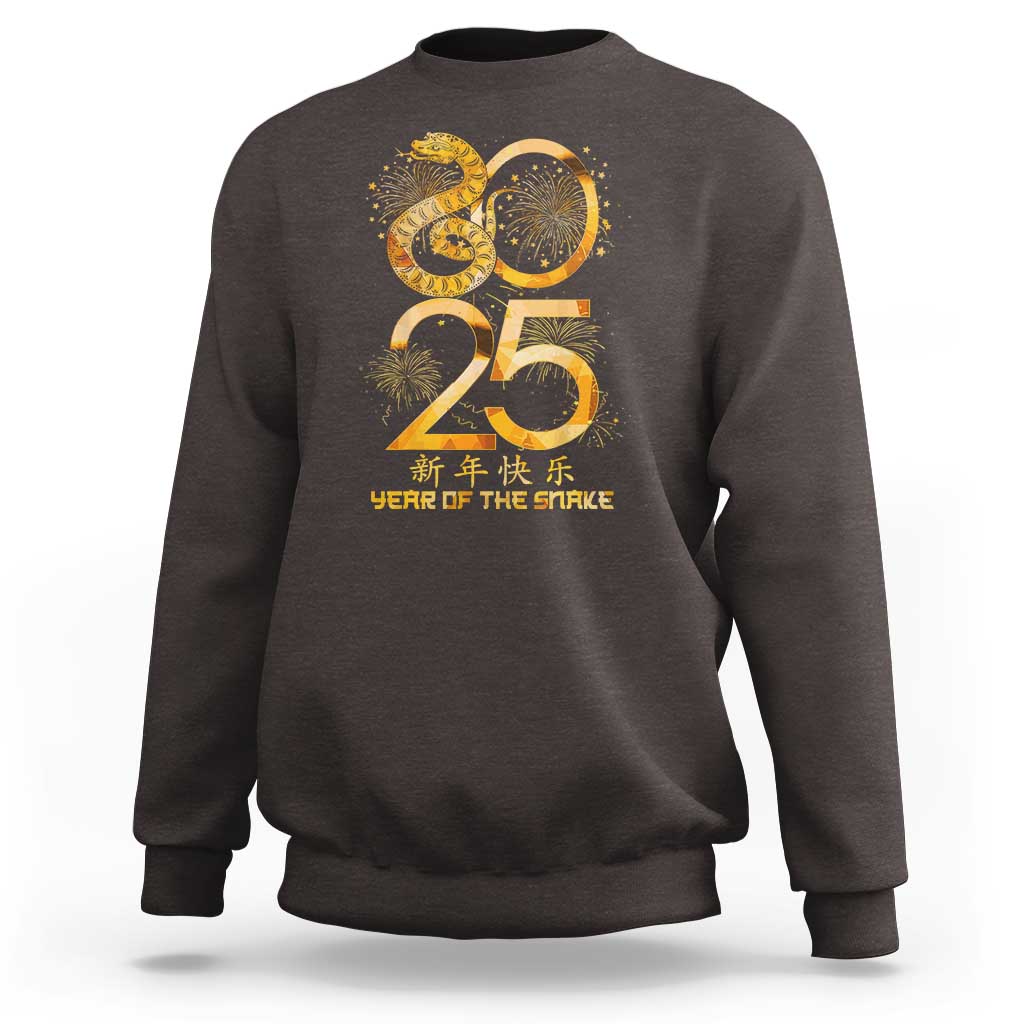 Lunar New Year 2025 Sweatshirt Chinese Year Of The Snake - Wonder Print Shop