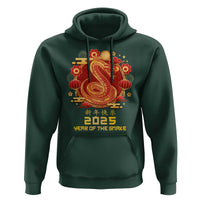 Year Of The Snake 2025 Lunar New Year Hoodie