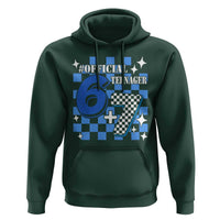 Funny 13th Birthday Official Teenager Hoodie 6+7 13 Year Old Boys Kids Checkered 67 Meme
