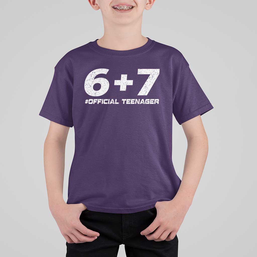 Funny 13th Birthday Official Teenager T Shirt For Kid 13 Years Old Boys Kids