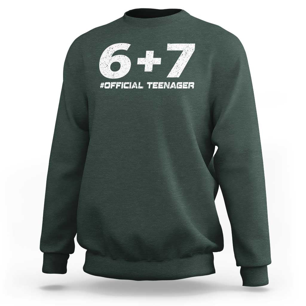 Funny 13th Birthday Official Teenager Sweatshirt 13 Years Old Boys Kids