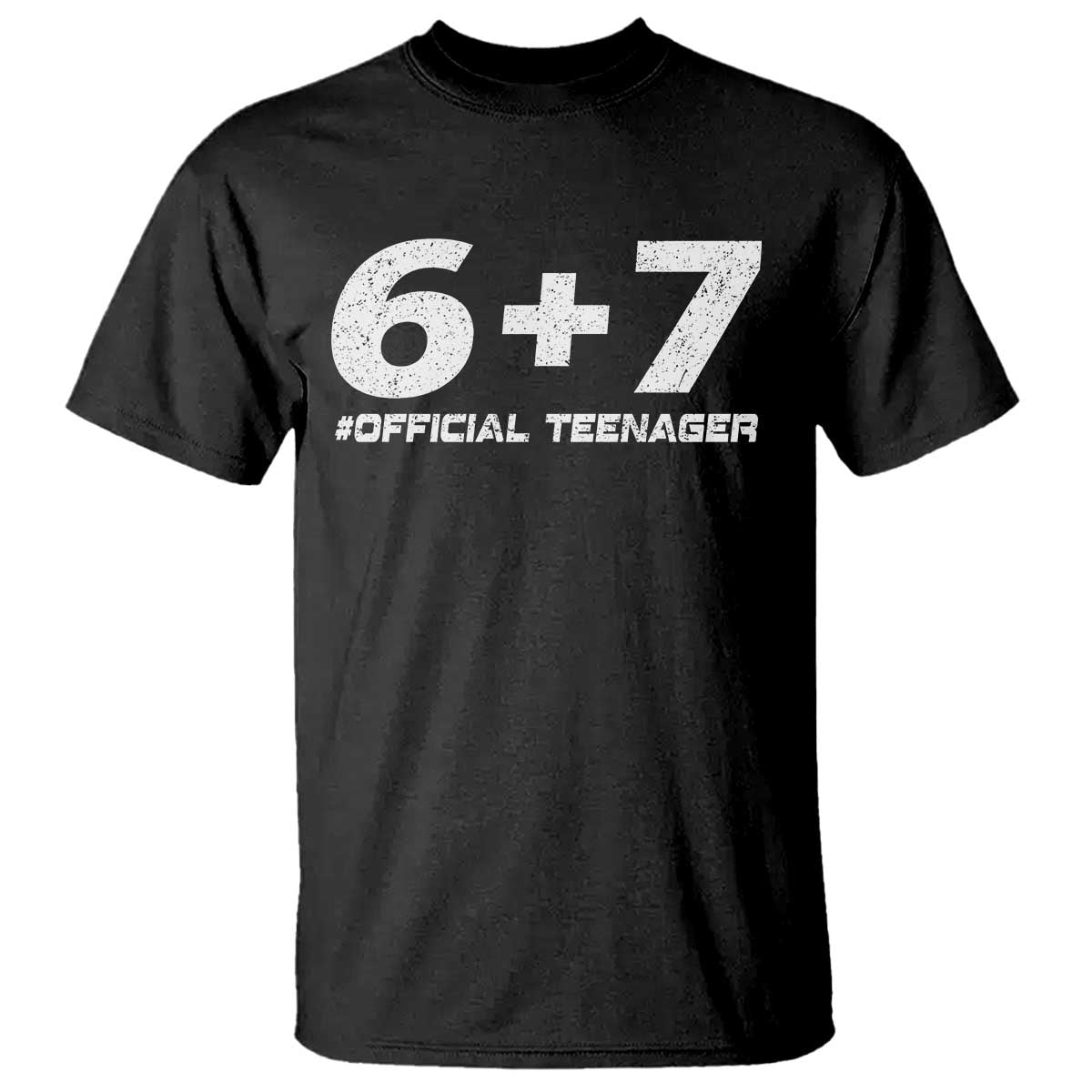 Funny 13th Birthday Official Teenager T Shirt 13 Years Old Boys Kids