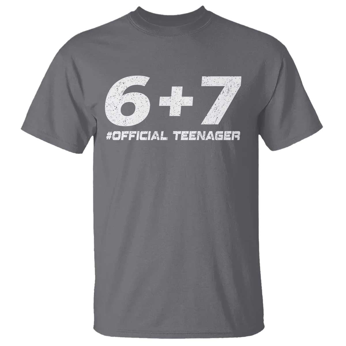 Funny 13th Birthday Official Teenager T Shirt 13 Years Old Boys Kids