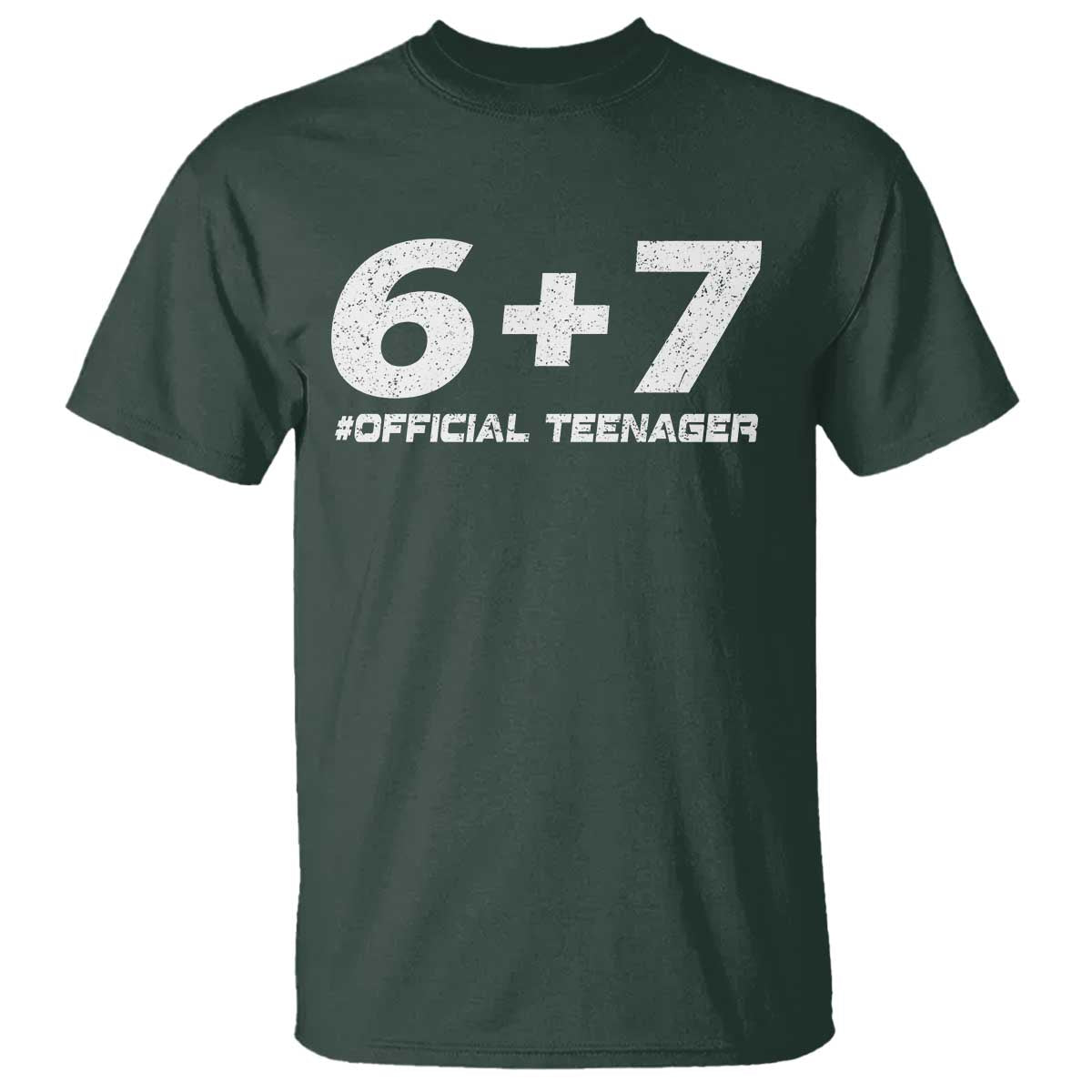 Funny 13th Birthday Official Teenager T Shirt 13 Years Old Boys Kids