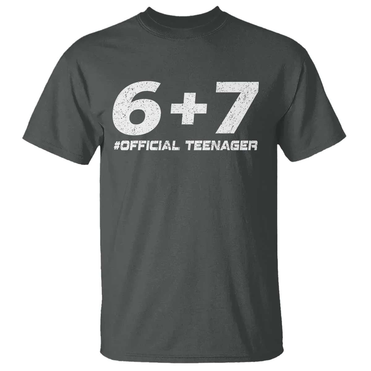 Funny 13th Birthday Official Teenager T Shirt 13 Years Old Boys Kids