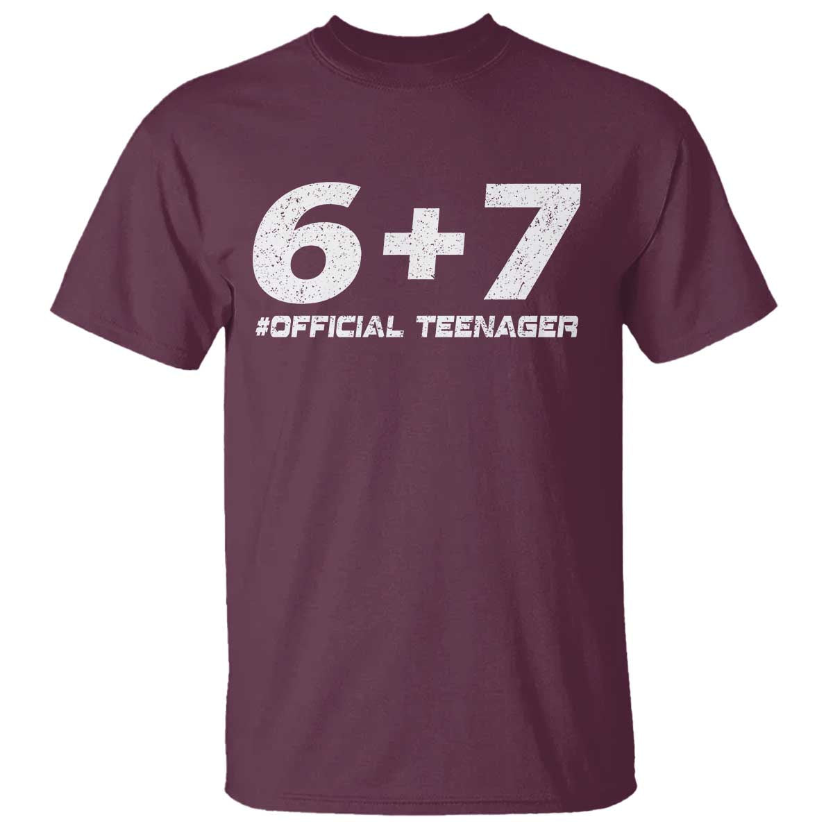Funny 13th Birthday Official Teenager T Shirt 13 Years Old Boys Kids